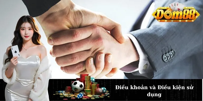 Điều khoản và Điều kiện sử dụng