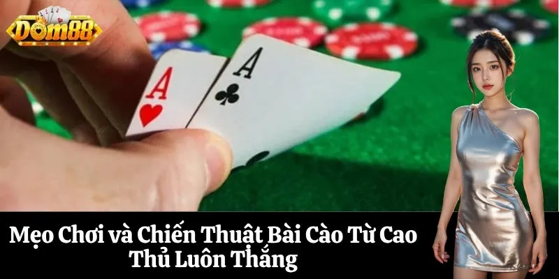 Mẹo Chơi và Chiến Thuật Bài Cào Từ Cao Thủ Luôn Thắng