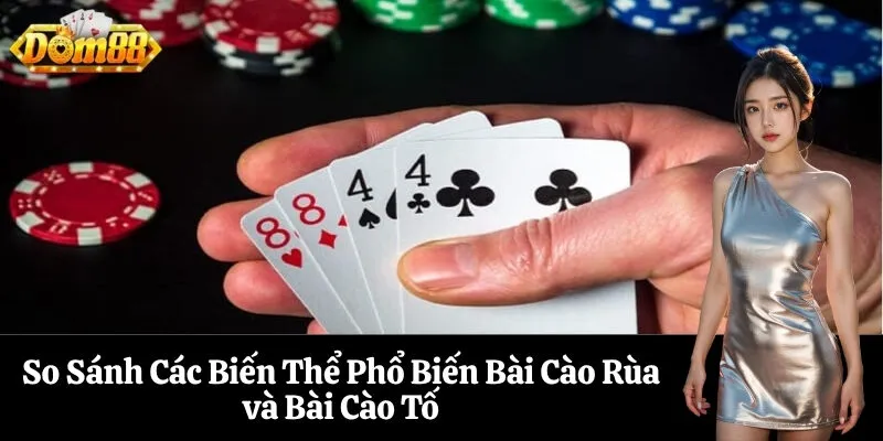 So Sánh Các Biến Thể Phổ Biến Bài Cào Rùa và Bài Cào Tố